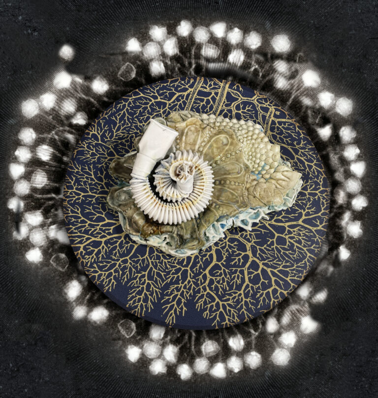 Close-up of a circular, cast porcelain piece by Marguerite Perret that resembles a cream-colored ammonite shell spiral atop magnified bacteria