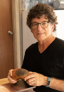 Krabill exhibit opens with reception Nov. 2