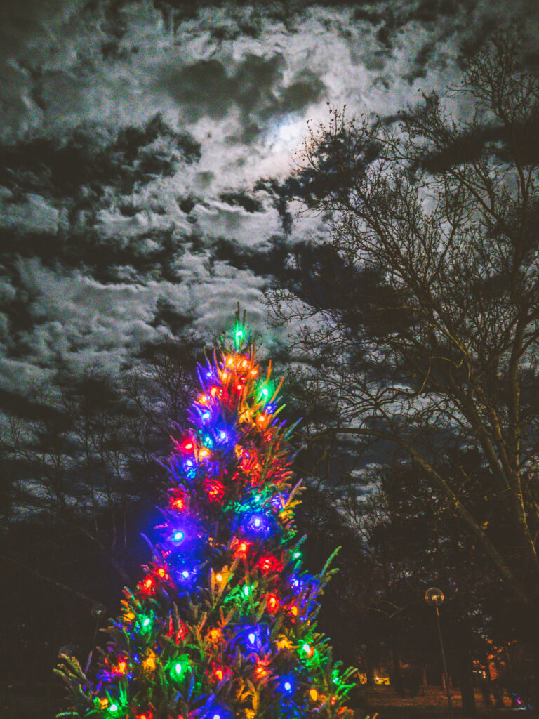Lighted Christmas tree against night sky