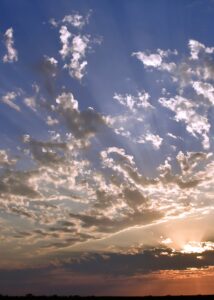 Oratorio recounts the creation story from Genesis