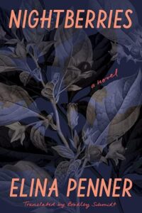 Translator to talk on bringing German novel into English